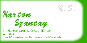 marton szantay business card